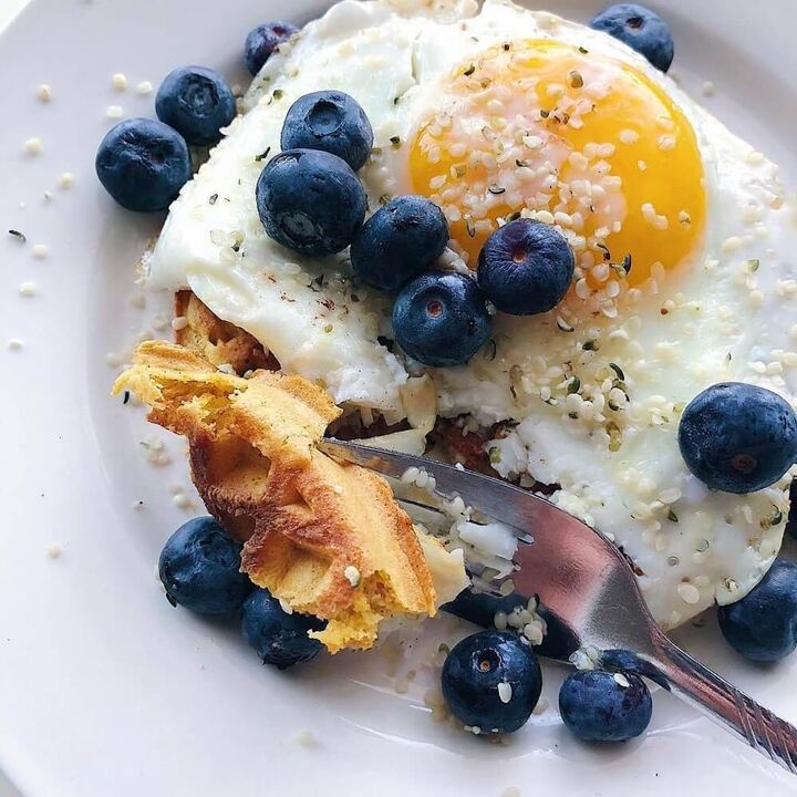 Dieta proteica para todos os dias