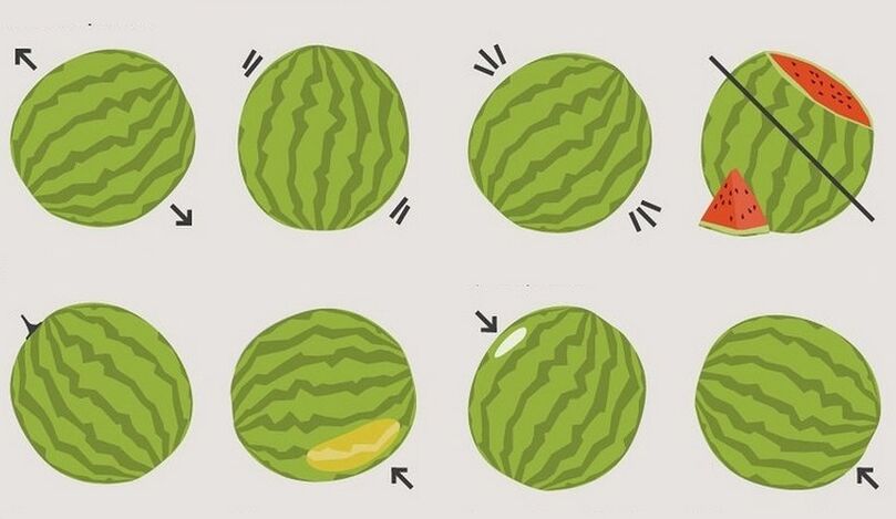 como escolher uma melancia