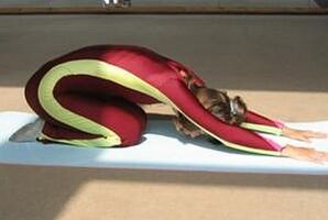 atividade física para perda de peso