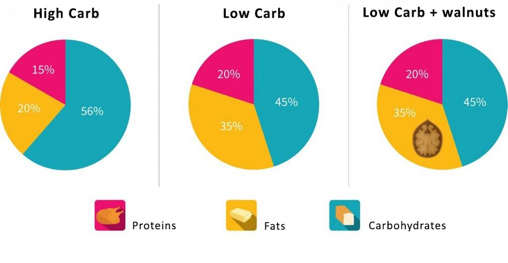 cronograma do conteúdo proporcional de proteínas, carboidratos Wen